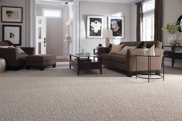 Living room with residential carpet